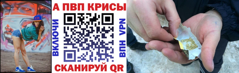 где можно купить   omg ссылки  Alpha PVP крисы CK  Тайга 