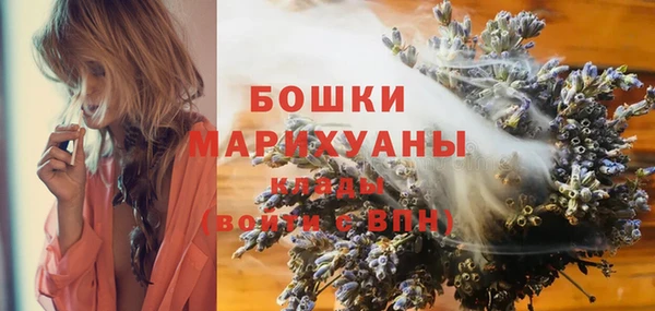 мдма Няндома