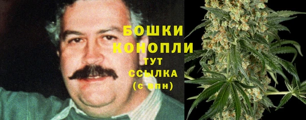 mix Осинники