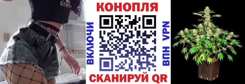 Бошки Шишки семена MEGA зеркало Тайга